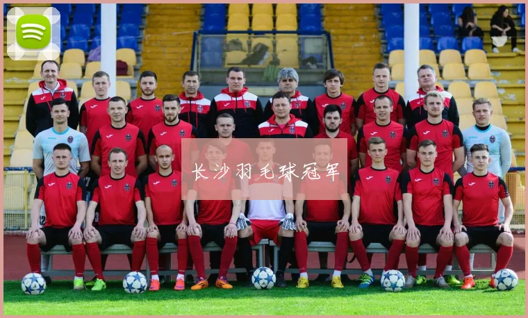 长沙羽毛球冠军