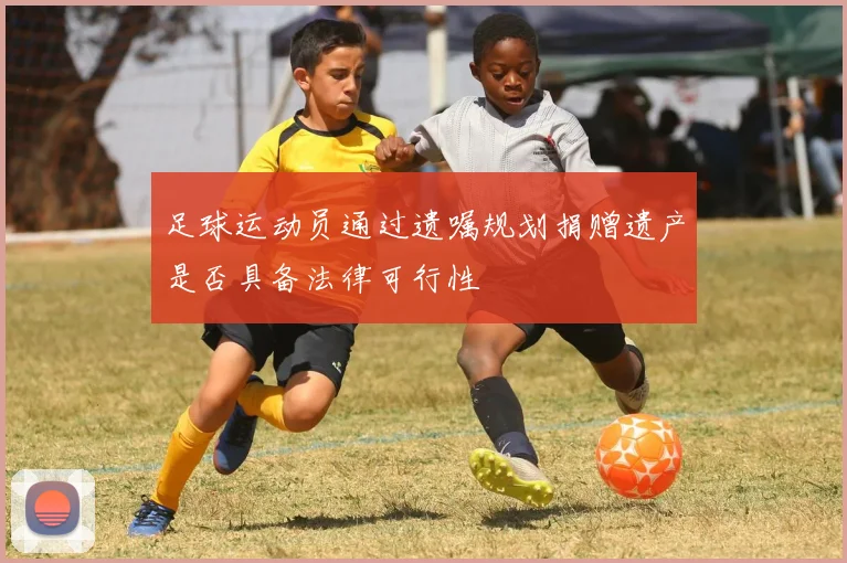 足球运动员通过遗嘱规划捐赠遗产是否具备法律可行性