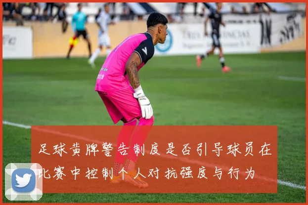 足球黄牌警告制度是否引导球员在比赛中控制个人对抗强度与行为