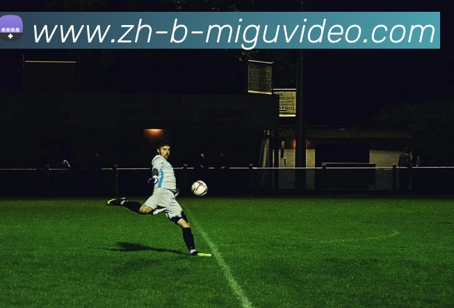 CBA辽篮足球队外援：辽篮足球队的外援球员与阵容分析